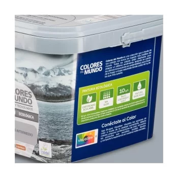 Paint Bruguer Escandinavia Black 4 L 2