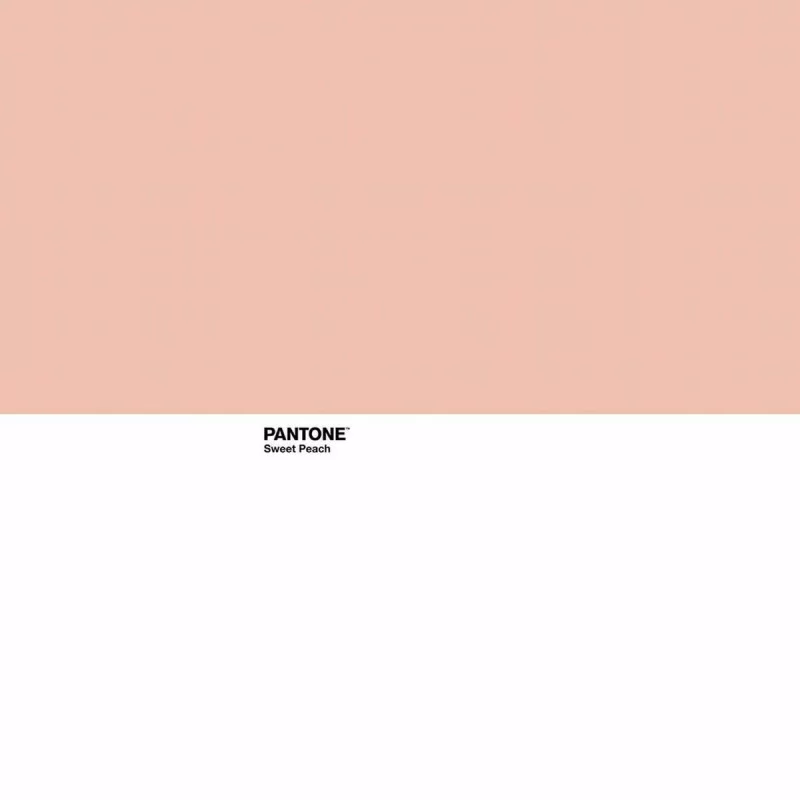 Nordic cover Pantone Sweet Peach Double (220 x...