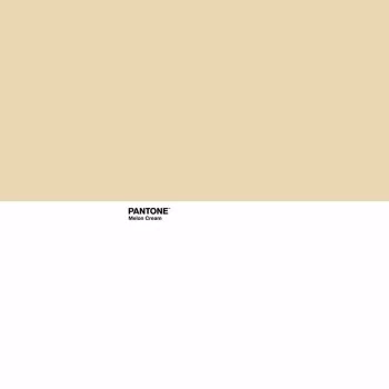 Nordic cover Pantone Melon Cream Double (220 x 220 cm) 2