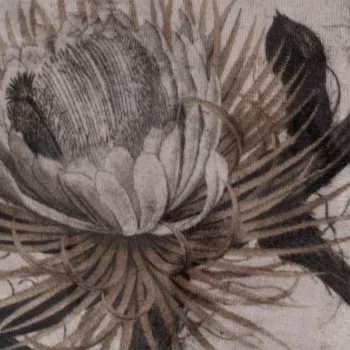 Cushion Brown Beige Velvet 50 x 30 cm 2