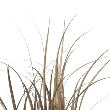 Decorative Plant PVC Steel Cement 122 cm 14 x 14 x 13 cm 2