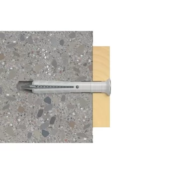 Wall plugs and screws Fischer (100 Units) 2