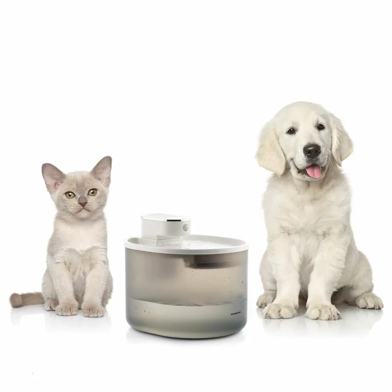 Rechargeable Cat Water Fountain with Sensor...