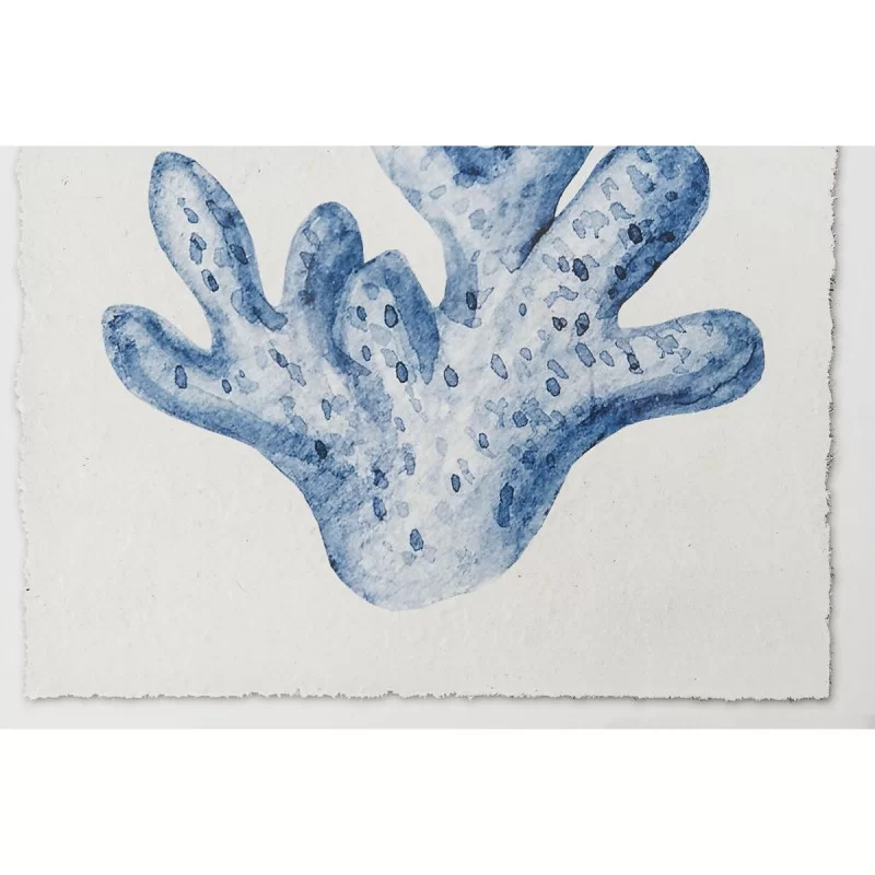 Painting Home ESPRIT Coral Mediterranean 50 x...