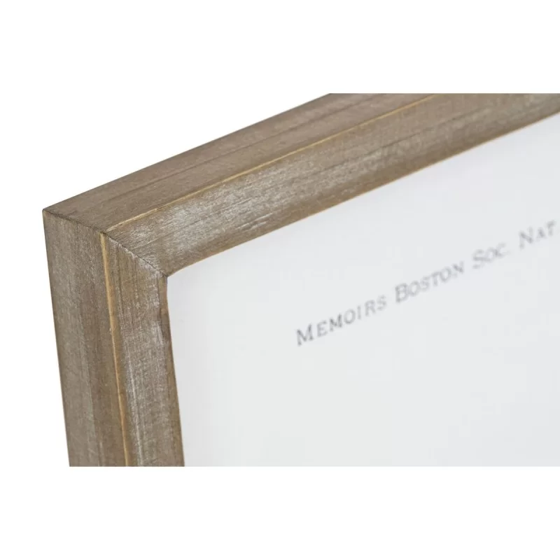 Painting Home ESPRIT Whale 70 x 2,5 x 35 cm (2...