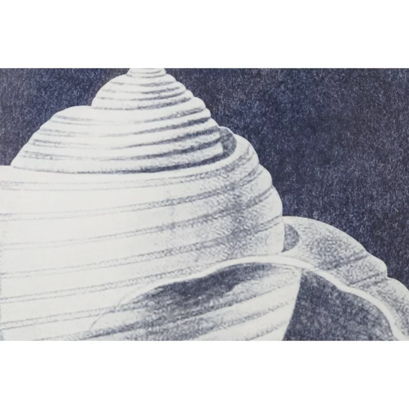 Painting Home ESPRIT Snail 60 x 2,5 x 45 cm (4...