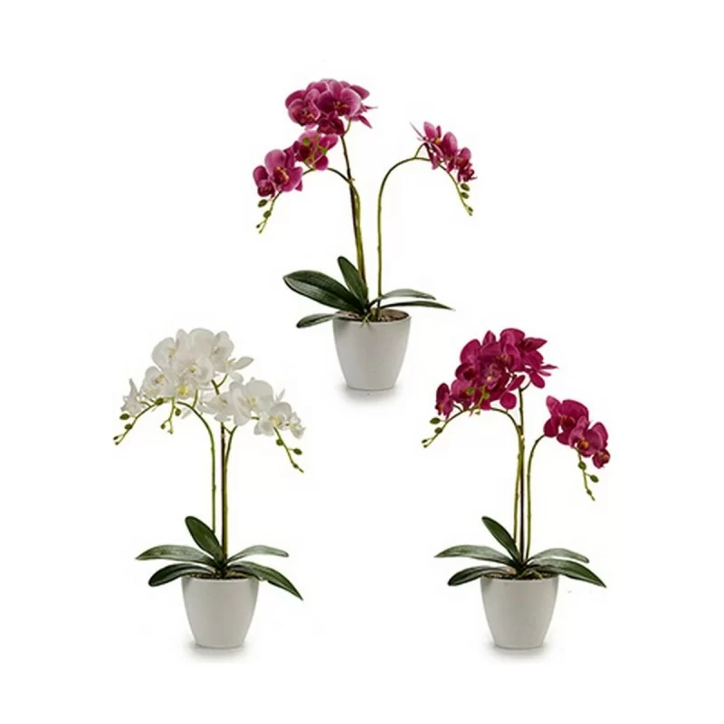 Decorative Plant Orchid Plastic 20 x 49 x 26 cm...