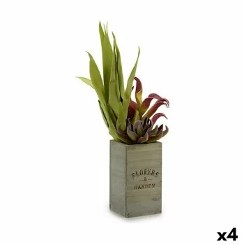 Decorative Plant Flowers Garden Brown Green 10 x 50 x 10...