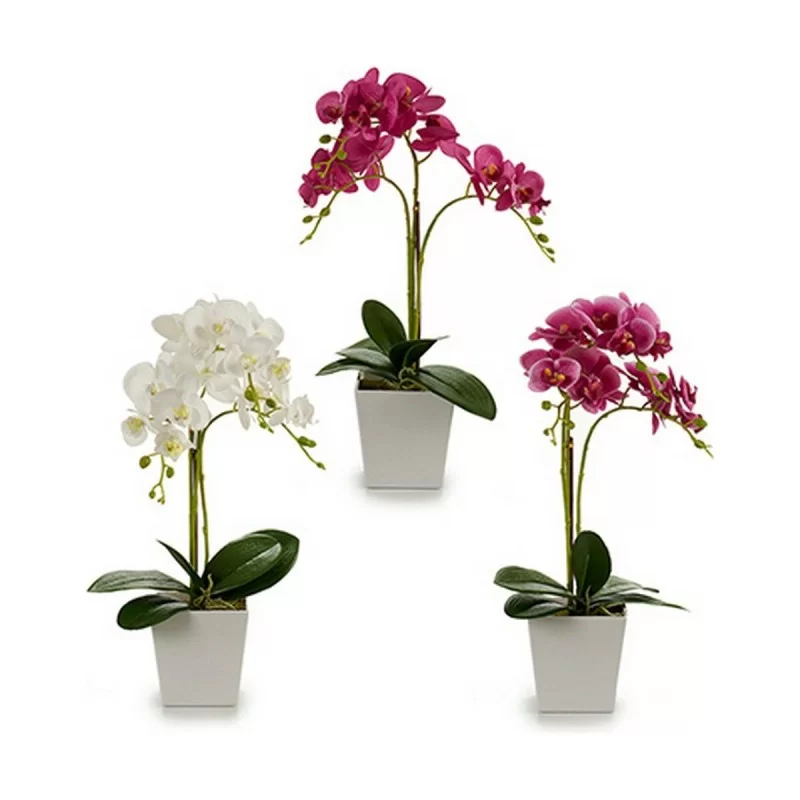 Decorative Plant Orchid 20 x 47 x 33 cm Plastic...