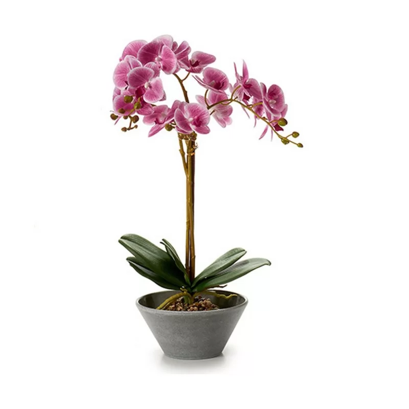 Decorative Plant Orchid 16 x 48 x 28 cm Plastic...
