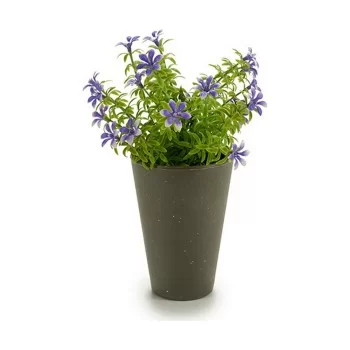 Decorative Plant Flower Plastic 12 x 19 x 12 cm (12 Units) 2