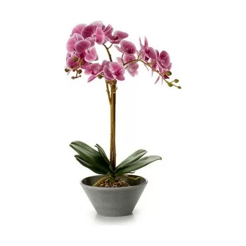 Decorative Plant Orchid 20 x 60 x 28 cm (2 Units) 2