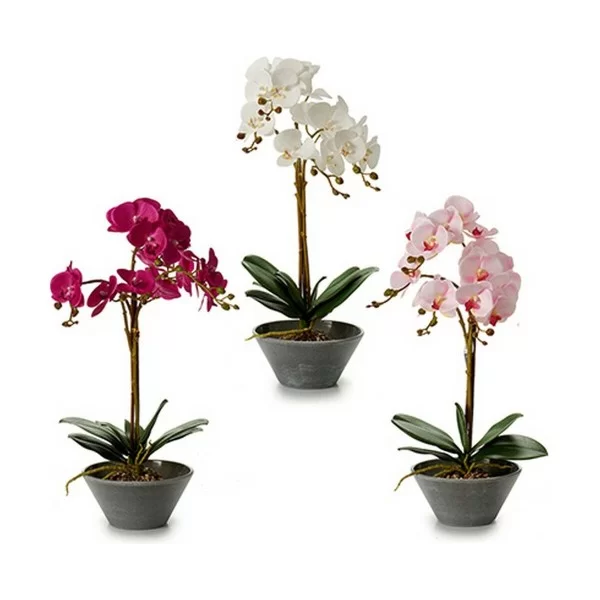 Decorative Plant Orchid 20 x 60 x 28 cm (2 Units)