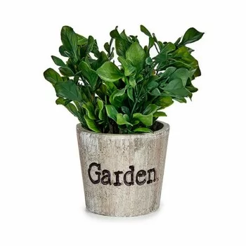 Decorative Plant Plastic 16 x 22 x 16 cm (12 Units) 2