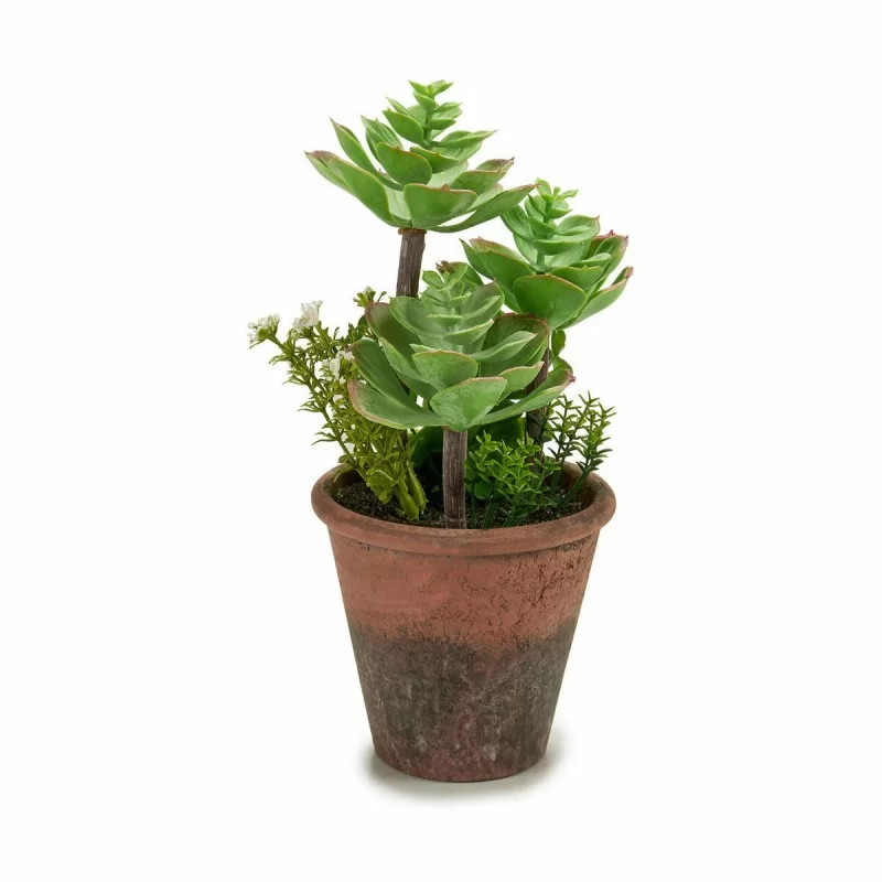 Decorative Plant Succulent Plastic 16 x 23 x 16...