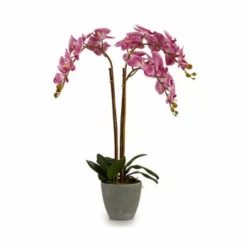 Decorative Plant Orchid Plastic 33 x 77 x 33 cm (2 Units) 2