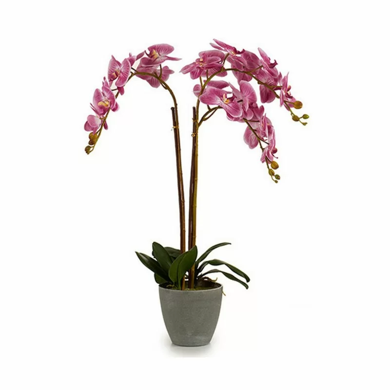 Decorative Plant Orchid Plastic 33 x 77 x 33 cm...