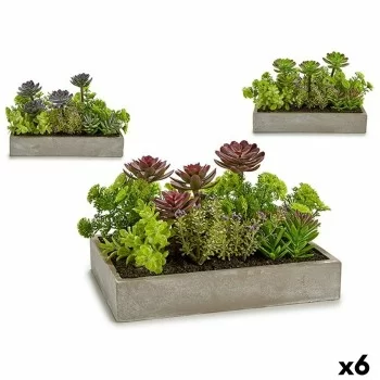 Decorative Plant Succulent Plastic Cement 16,5 x 20 x...