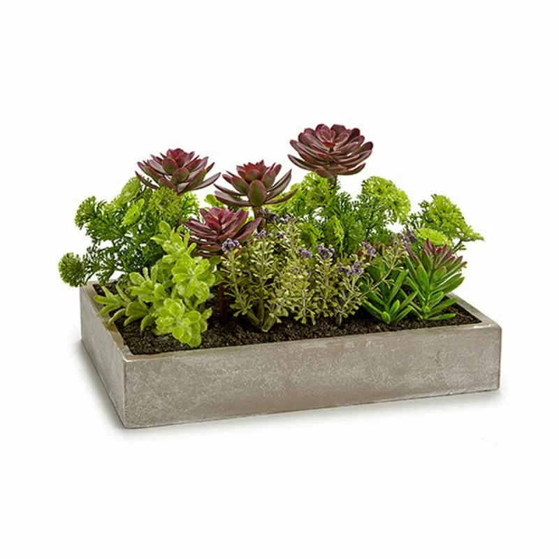 Decorative Plant Succulent Plastic Cement 16,5...