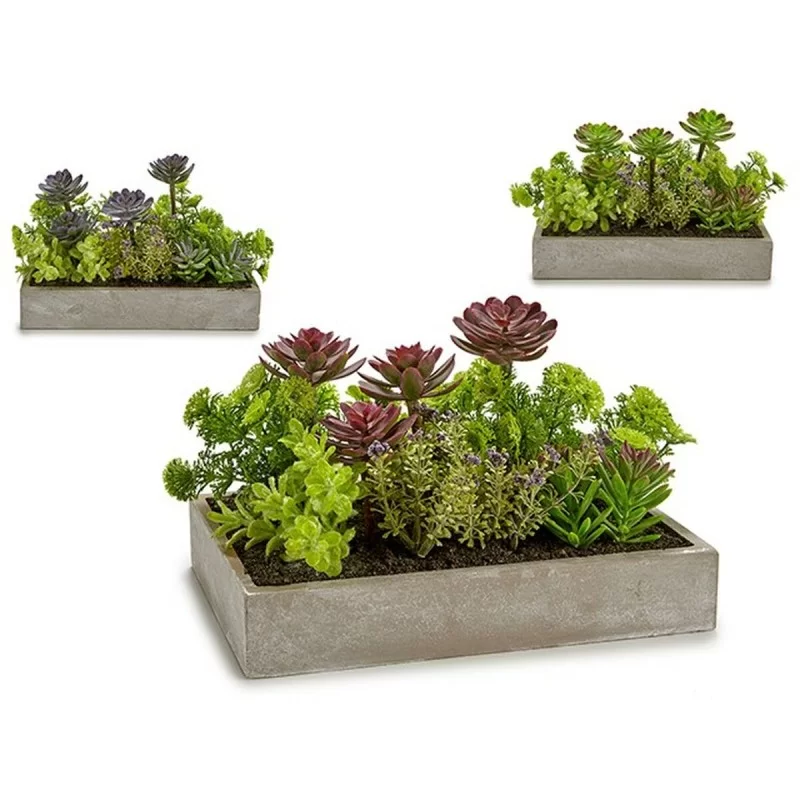 Decorative Plant Succulent Plastic Cement 16,5...