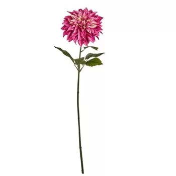 Decorative Flower Dahlia Fuchsia 16 x 74 x 16 cm (6 Units) 2