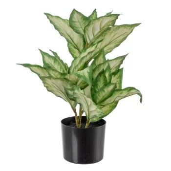 Decorative Plant Polyethylene PEVA Dieffenbachia 42 x 42...