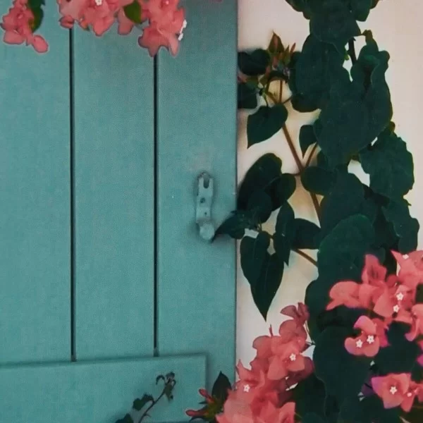 Canvas Window 80 x 3,6 x 120 cm