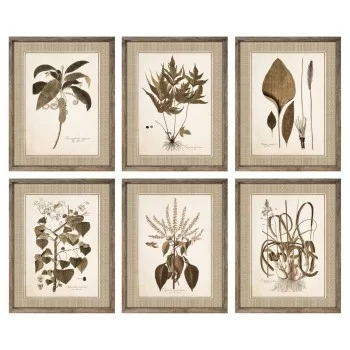 Painting DKD Home Decor 55 x 2,5 x 70 cm Modern Botanical...