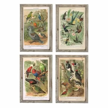 Painting DKD Home Decor 45 x 2 x 65 cm Birds Cottage (4...
