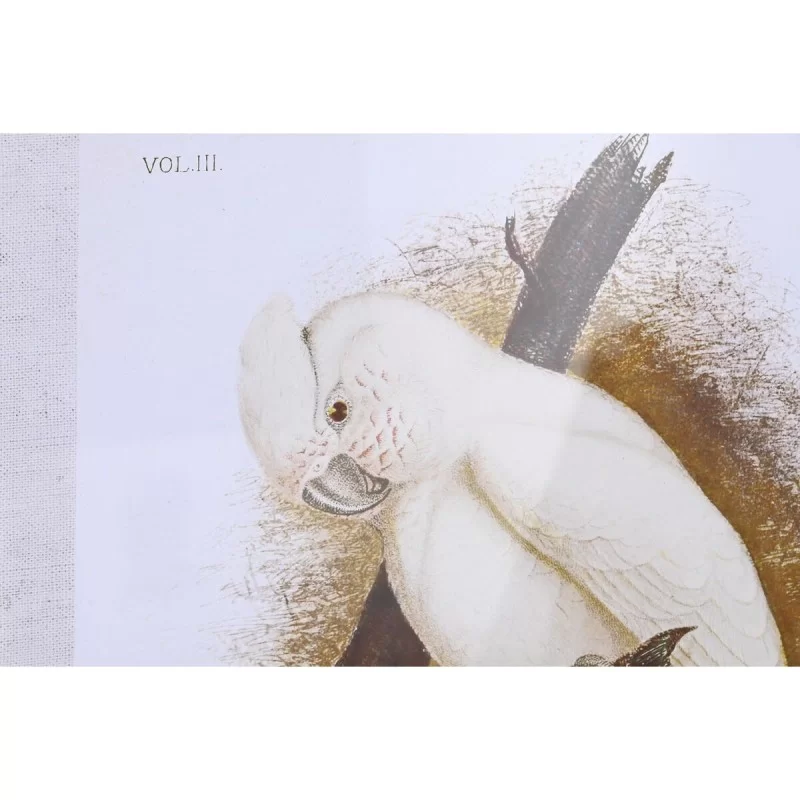 Canvas DKD Home Decor 50 x 2,8 x 65 cm 50 x 65...