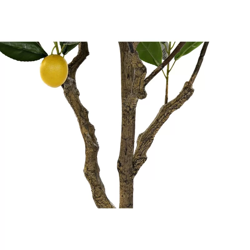 Tree DKD Home Decor Lemon tree Polyester (74 x...