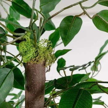 Tree Home ESPRIT Polyester Wood 80 x 80 x 180 cm 2