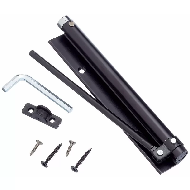 Door closer Micel MC02 NE m57202 Spring Black...