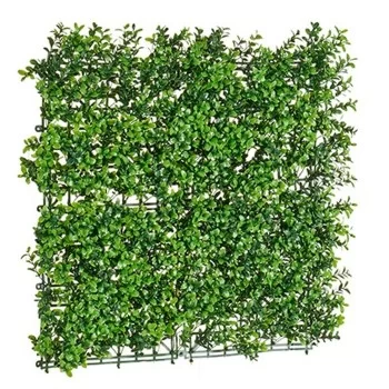 Vertical Garden Kit 50 x 5 x 50 cm (12 Units) 2