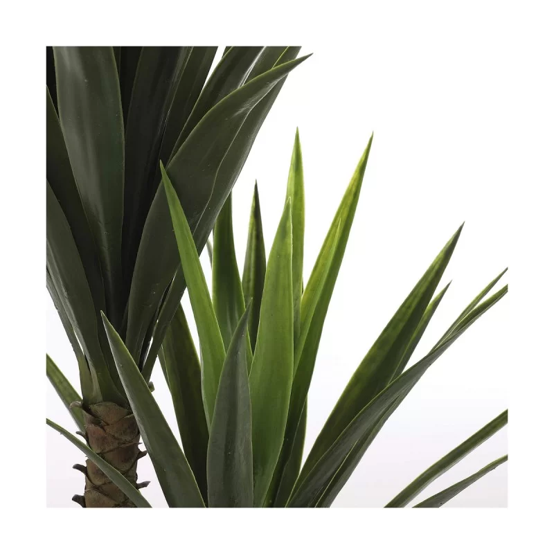 Decorative Plant Mica Decorations Yucca (120 x...