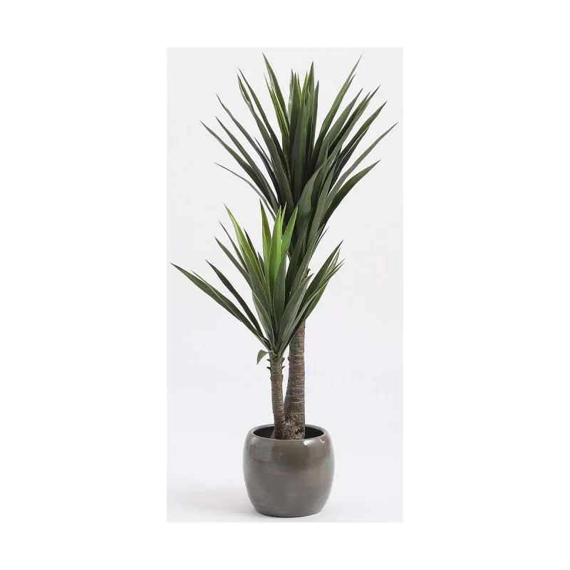 Decorative Plant Mica Decorations Yucca (120 x...
