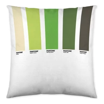 Cushion cover Wide Pantone Localization-B086JPN8MY 50 x...