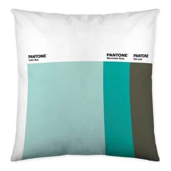 Cushion cover Wide Stripes Pantone... 2