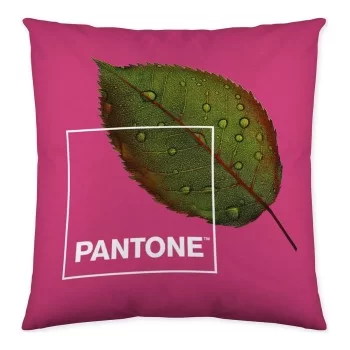 Cushion cover Nature Pantone Reversible 50 x 50 cm 2