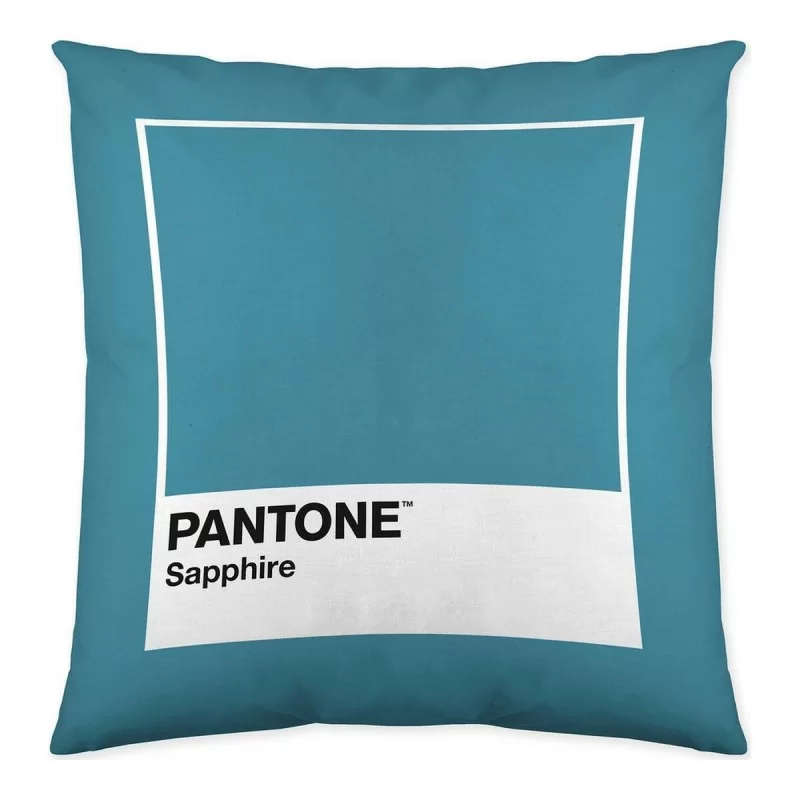 Cushion cover Narrow Pantone...