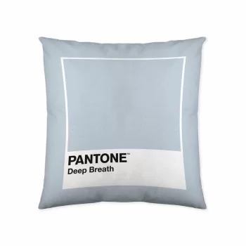 Cushion cover Deep Breath Pantone 63836304 50 x 50 cm 2