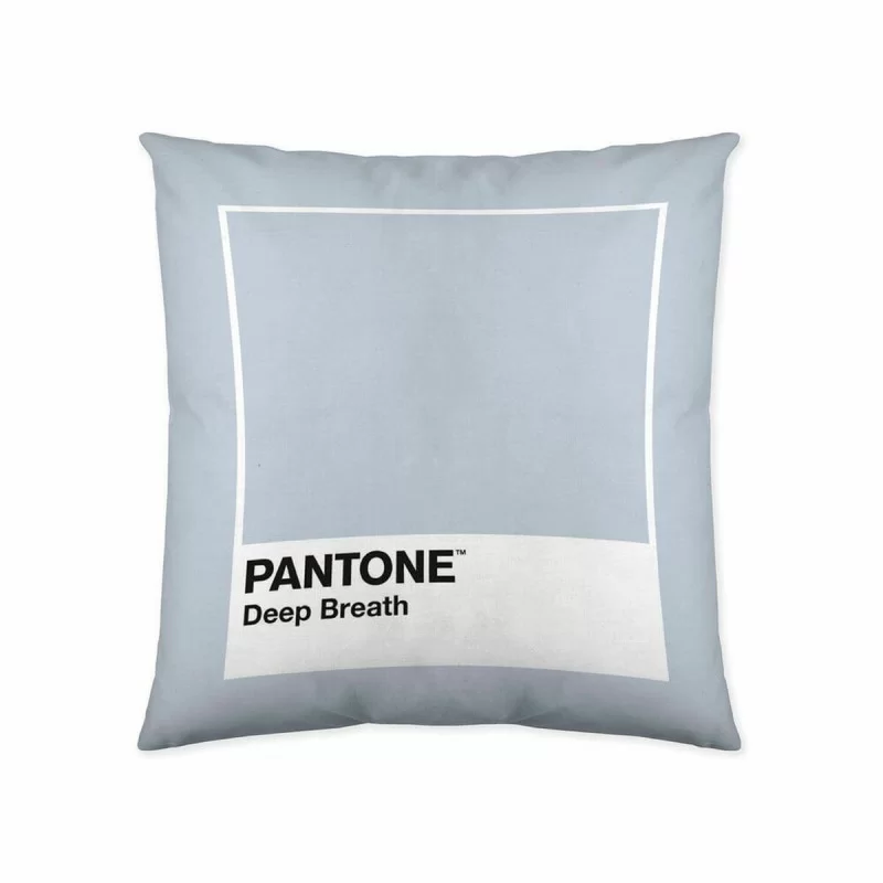 Cushion cover Deep Breath Pantone 63836304 50 x...