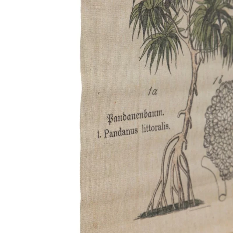 Sheet 50 x 2 x 70 cm Palm tree