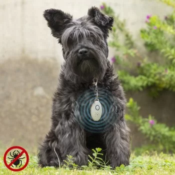 Rechargeable Ultrasound Parasite Repellent for Pets...