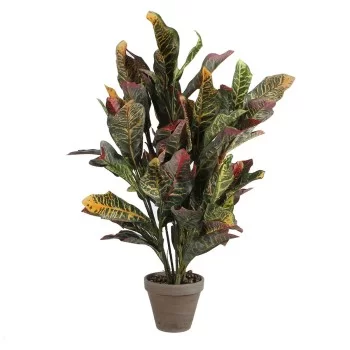Decorative Plant Mica Decorations Croton Green PVC (73 x...