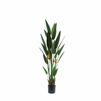 Decorative Plant DKD Home Decor 60 x 60 x 160 cm Orange...