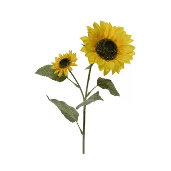 Bouquets Everlands 10 x 15 x 72 cm Sunflower
