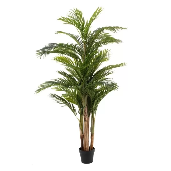 Decorative Plant Polyethylene Areca 189 cm