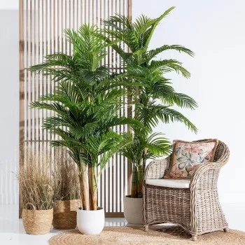 Decorative Plant Polyethylene Areca 189 cm 2