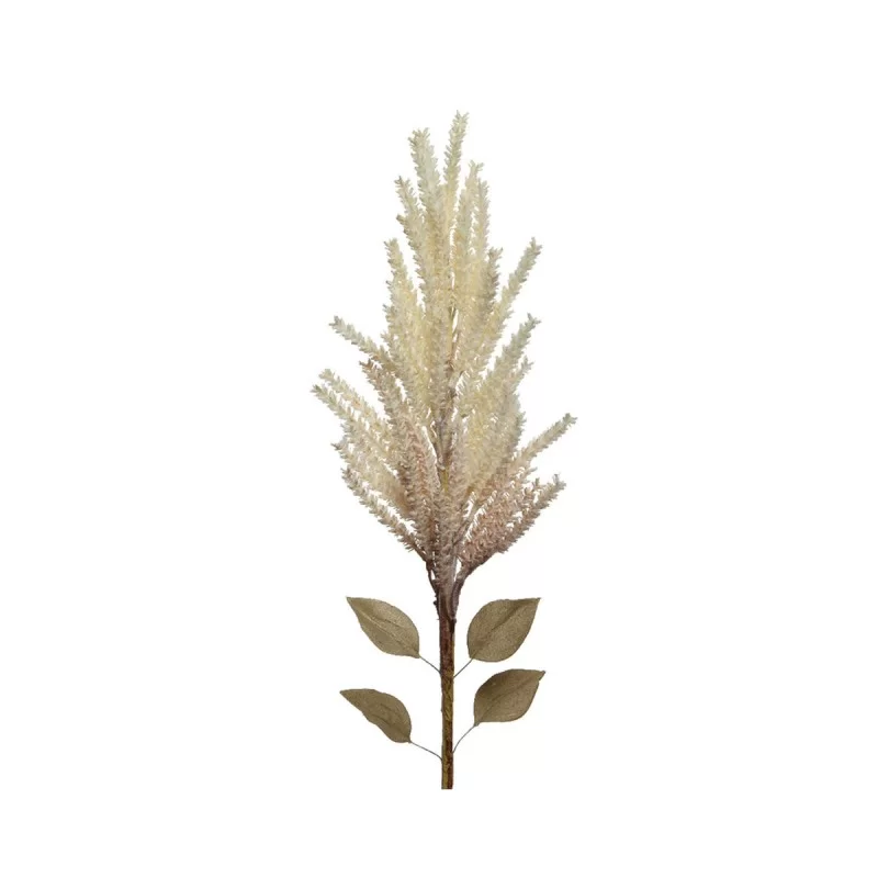 Bouquets Everlands 13 x 9 x 94 cm Pampas